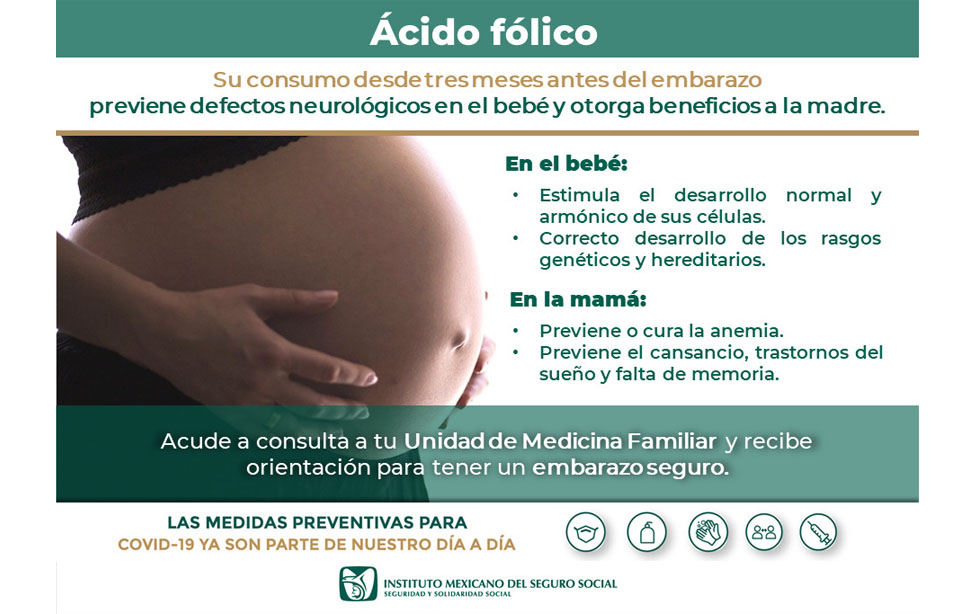 IMSS Promueve la Toma de Ácido Fólico Durante Embarazo para Prevenir  Defectos Neurológicos en Bebés